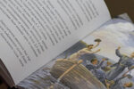 Thumbnail for the post titled: Презентация первой детской исторической книги «Записки о Дальнем Востоке»