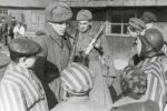 Миниатюра для заголовка записи: «Освобождение Европы». Под таким названием на сайте областного краеведческого музея начинает работу мультимедийная выставка, посвященная войнам – красноармейцам