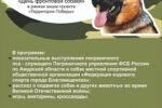 Thumbnail for the post titled: 18 августа, в 11:00 часов, в музейно-выставочном центре «Дом И.А. Котельникова» пройдет интерактивное мероприятие «День фронтовой собаки» в рамках акции проекта «Территория Победы»