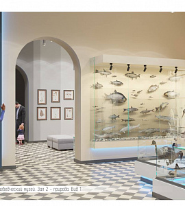 В Амурском областном краеведческом музее начался ремонт  первых двух залов природы, по окончании которого  будет воплощен в жизнь  новый дизайн-проект экспозиционного пространства